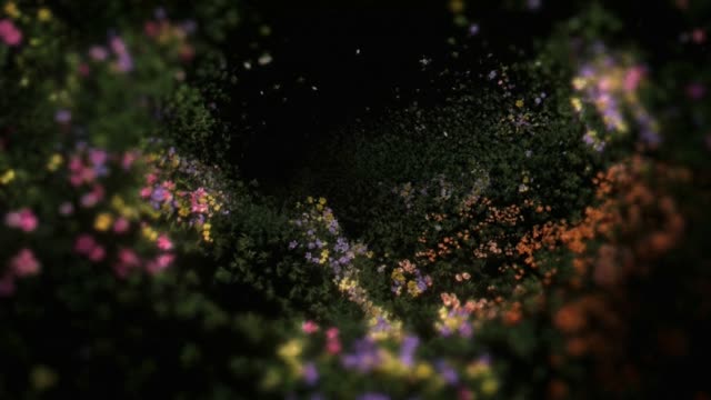 Dark flowers preview