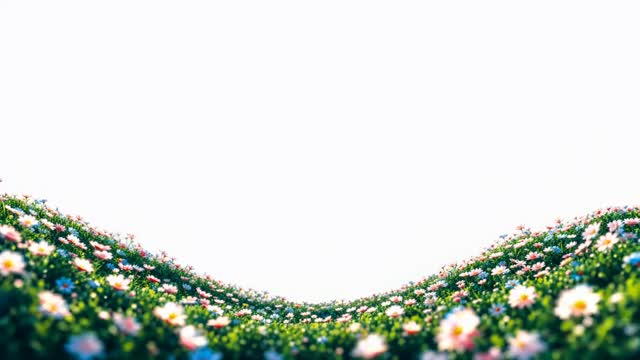 Flowers preview