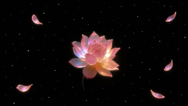 flower01 preview