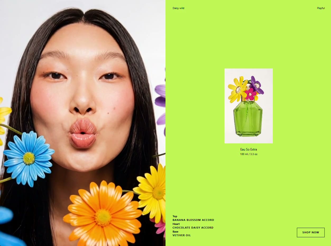 Daisy Wild preview