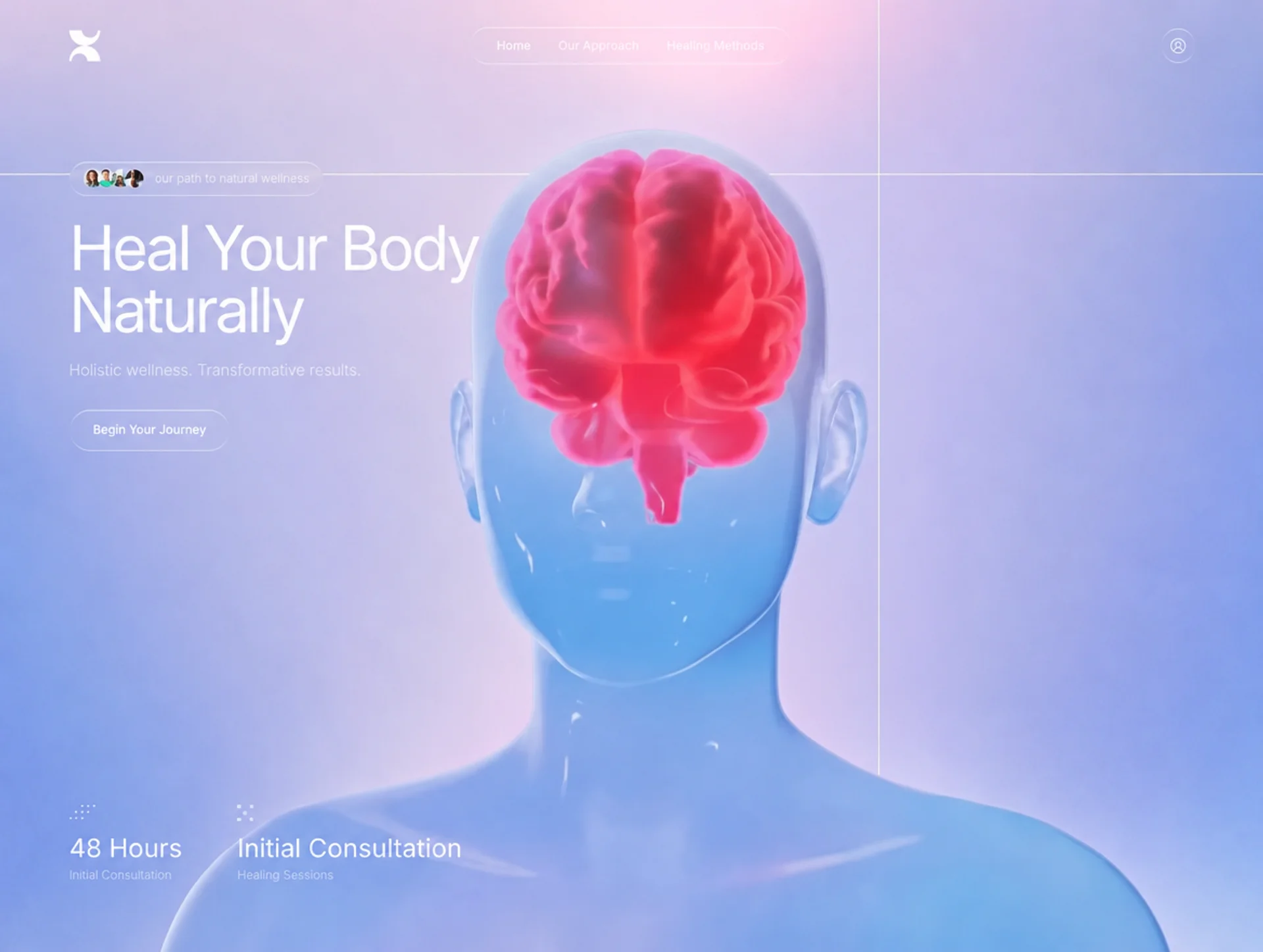 Mind-Body Healing preview