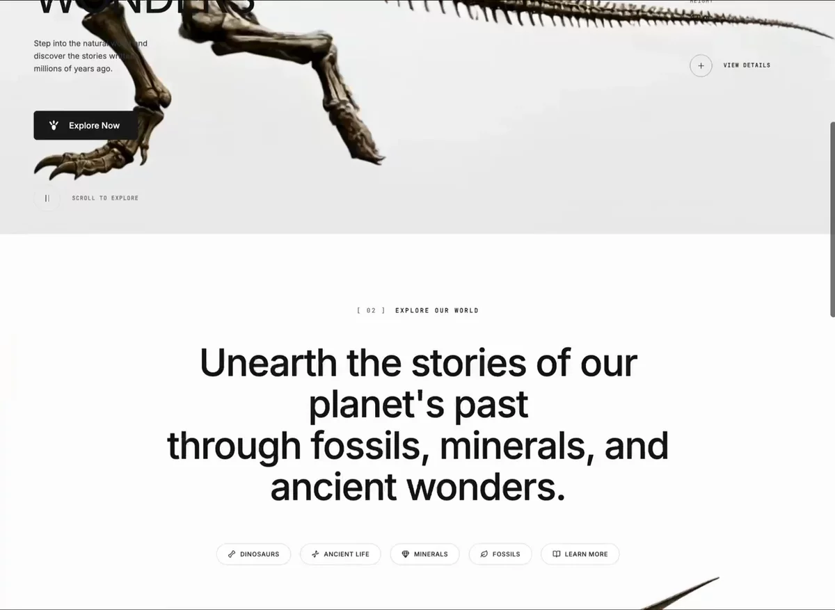 Neo Museum preview