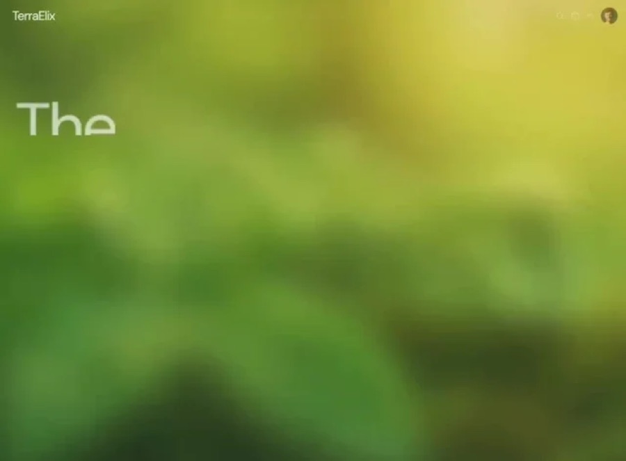 Wellness Balance preview